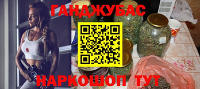 гидра Кингисепп