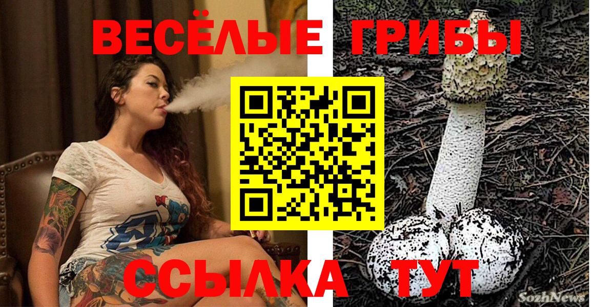 Псилоцибиновые грибы Psilocybe Конаково